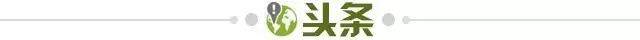 【早报】神灯要灭？兰“八”面临下课危机